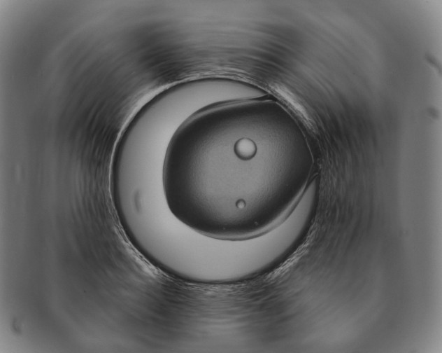 X0000091000940200708301331