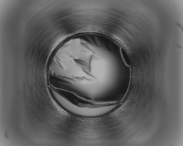 X0000091000942200708301332