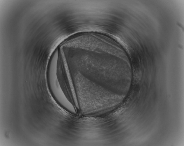 X0000091000943200708301332