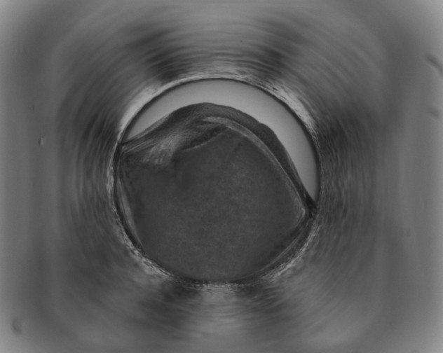 X0000091000944200708301332