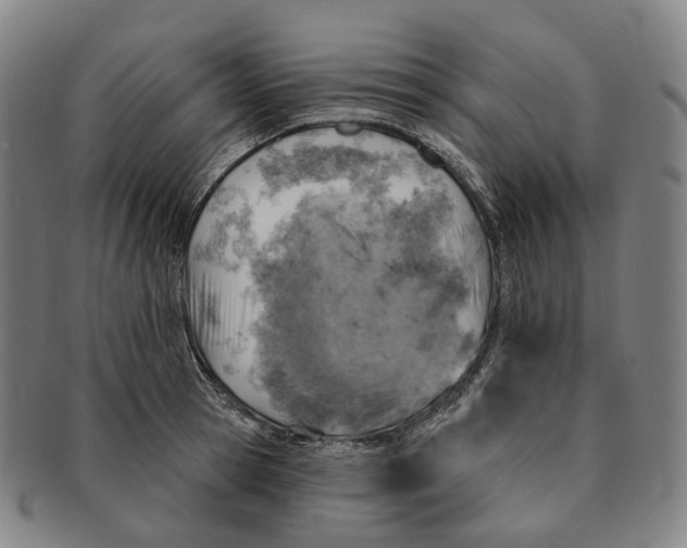 X0000091000945200708301332