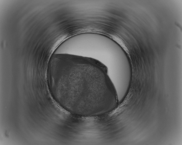 X0000091000946200708301332