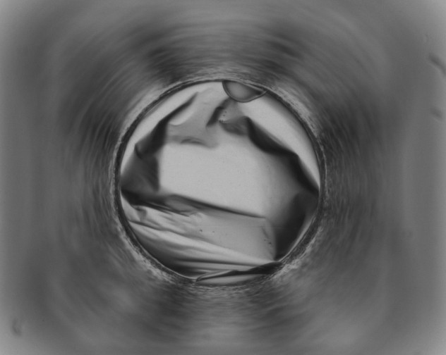 X0000091000949200708301332