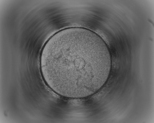 X0000091000950200708301332