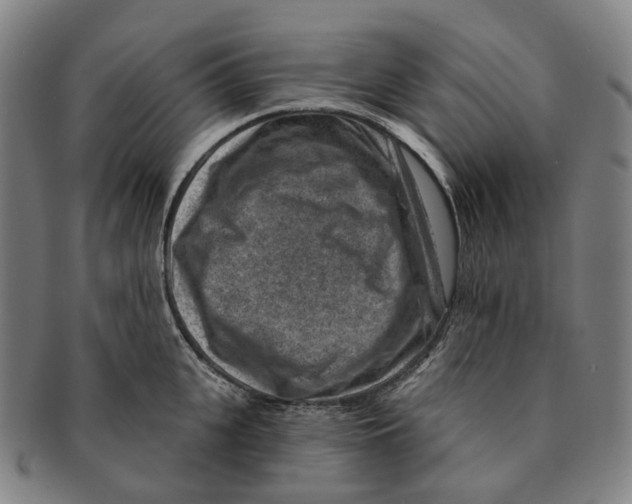 X0000091000951200708301332