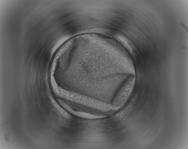 X0000091000952200708301332
