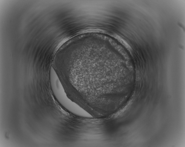 X0000091000953200708301332