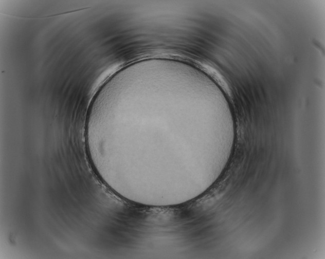 X0000091000954200708301332