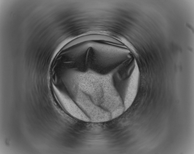 X0000091000955200708301332