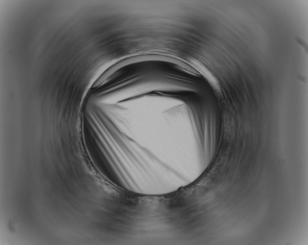 X0000091000956200708301332
