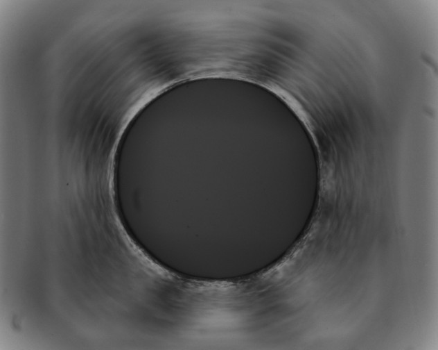 X0000091000957200708301332