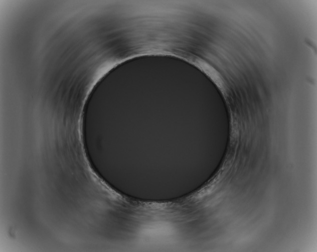 X0000091000958200708301332