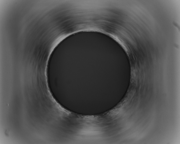 X0000091000959200708301332
