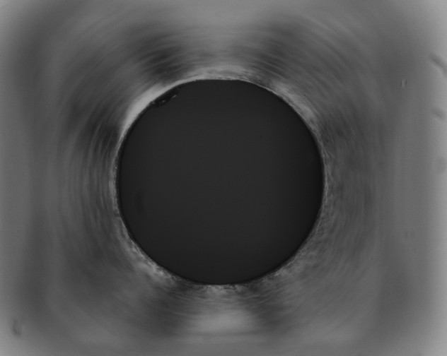 X0000091000960200708301332