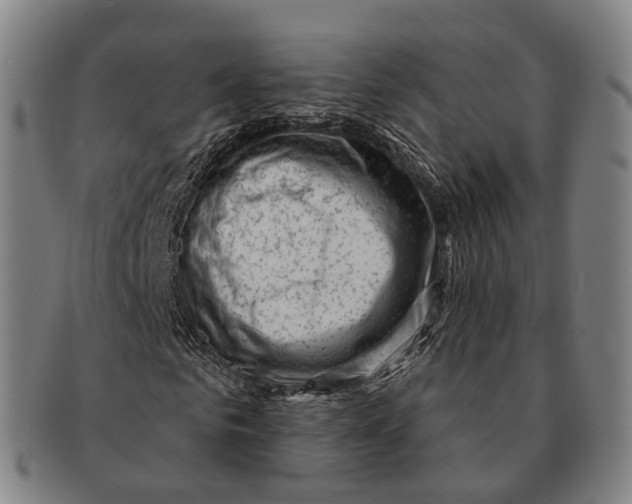 X0000091000961200708301331
