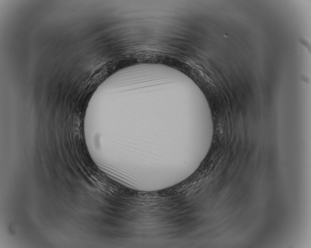 X0000091000964200708301331