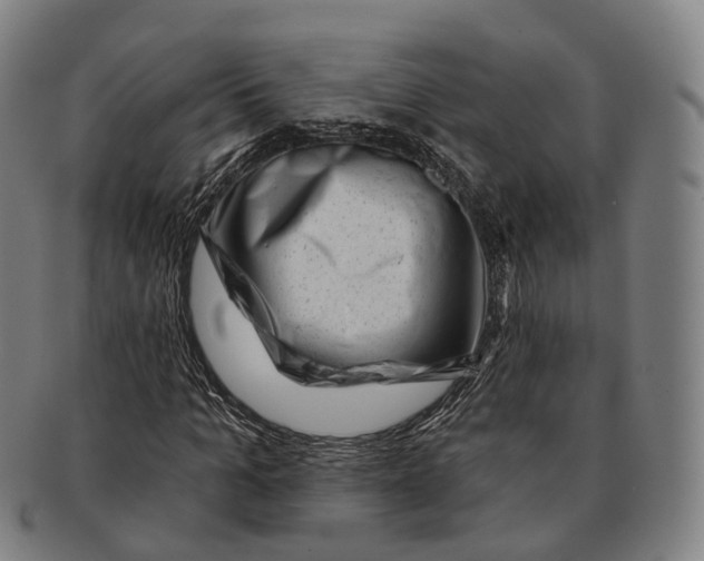 X0000091000965200708301331