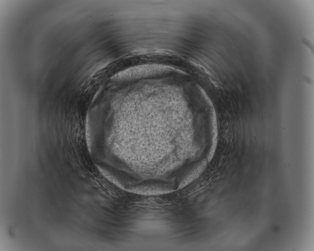 X0000091000966200708301331
