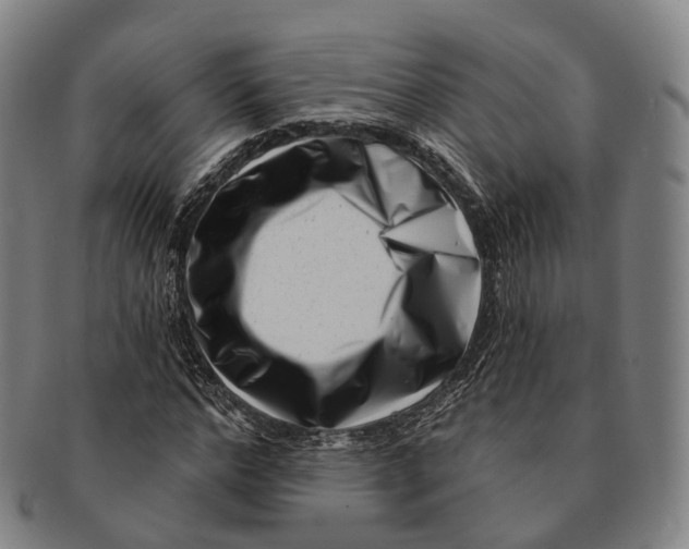 X0000091000968200708301331