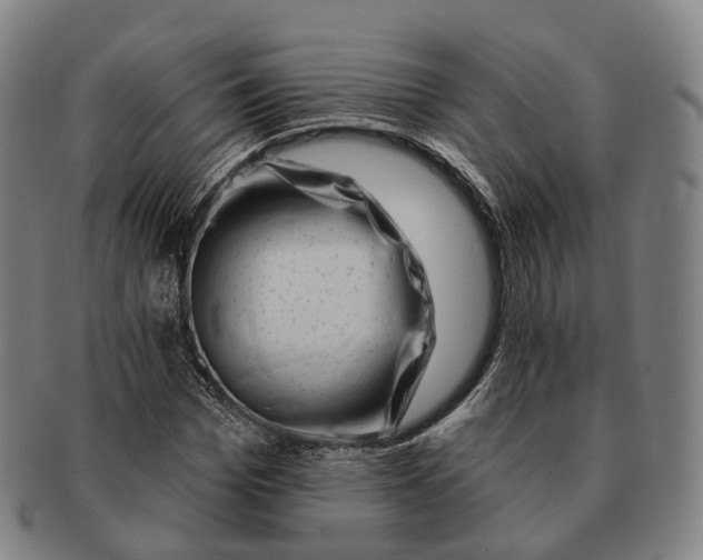 X0000091000969200708301331