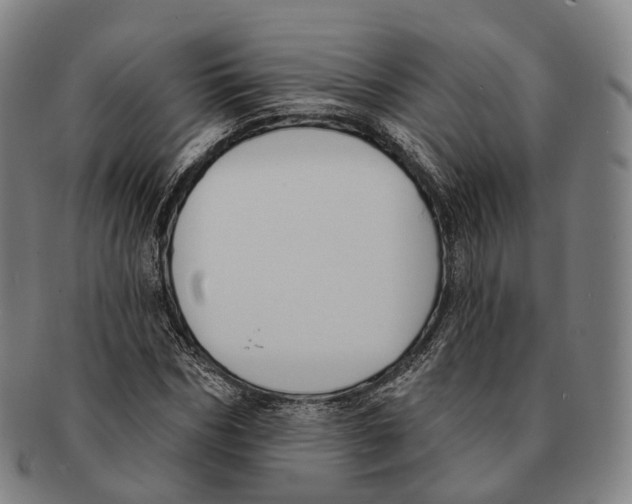 X0000091000970200708301331