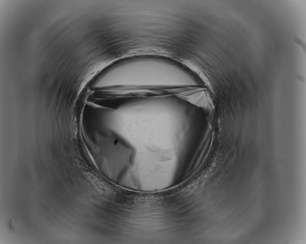 X0000091000973200708301331