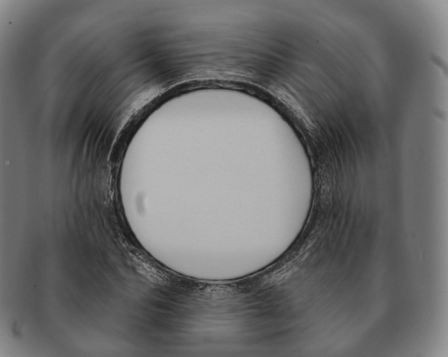 X0000091000974200708301331