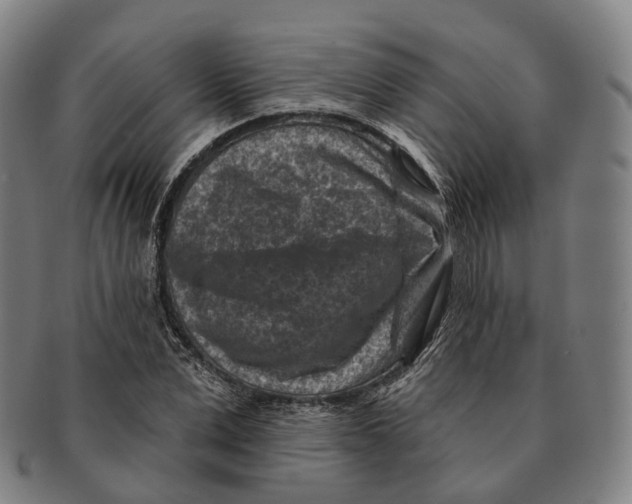 X0000091000975200708301331