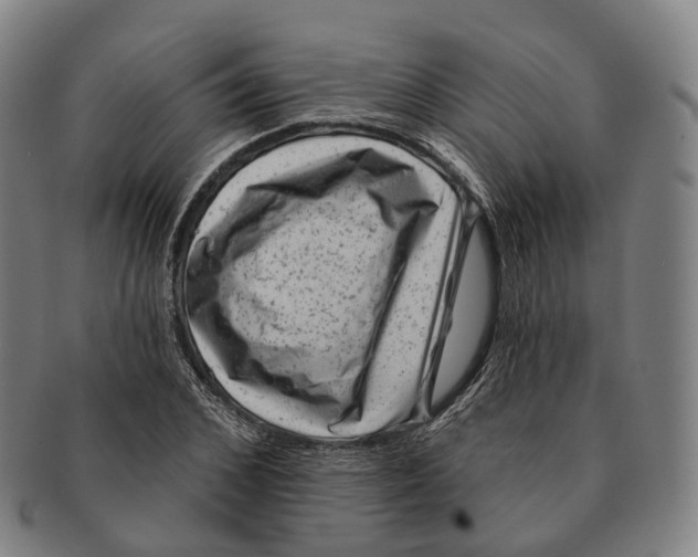 X0000091000976200708301331