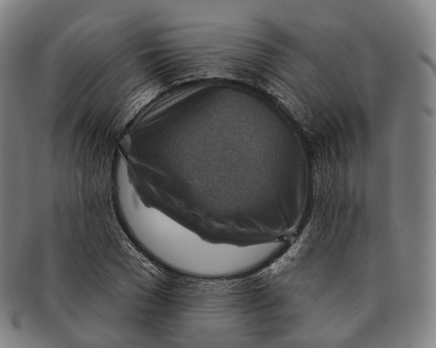 X0000091000977200708301331