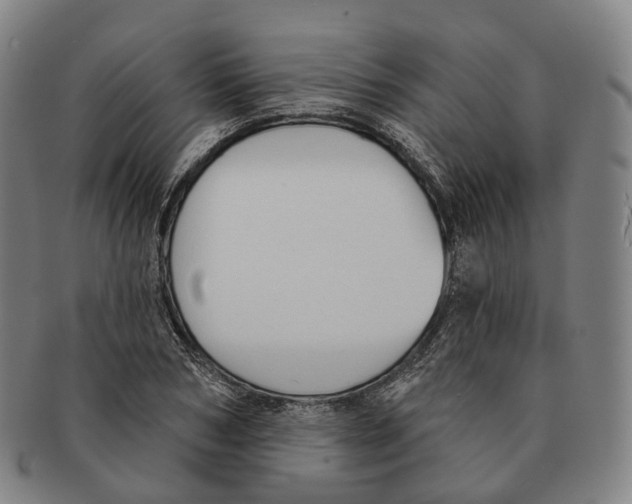 X0000091000978200708301331