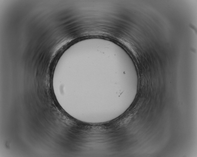 X0000091000979200708301331
