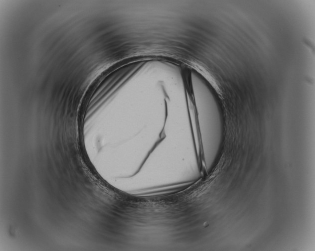 X0000091000980200708301331