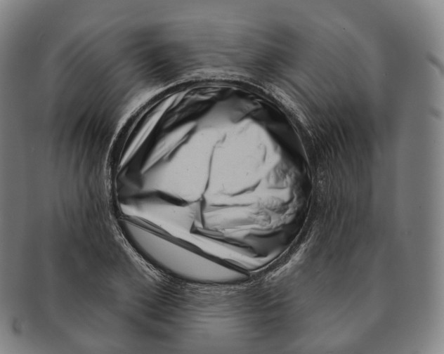 X0000091000981200708301331