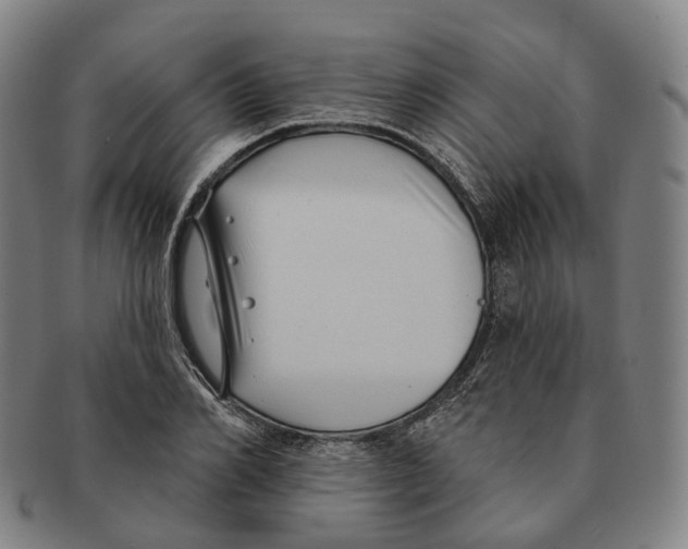 X0000091000982200708301331