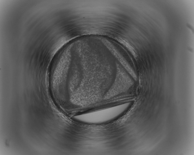 X0000091000983200708301331