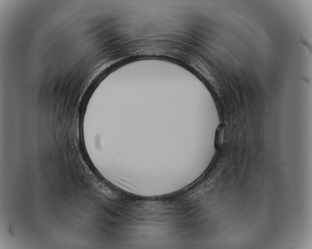 X0000091000984200708301331