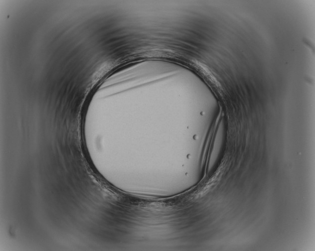 X0000091000986200708301331