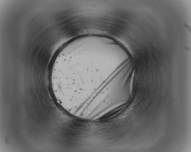 X0000091000987200708301331