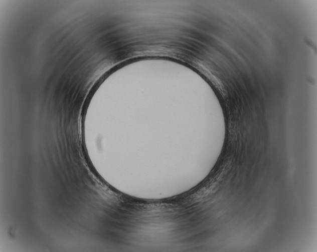 X0000091000988200708301331