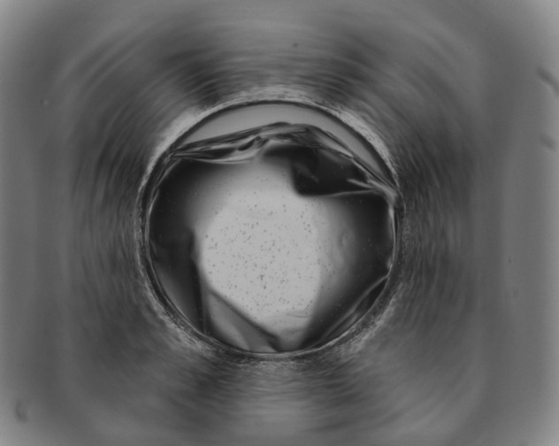 X0000091000989200708301331