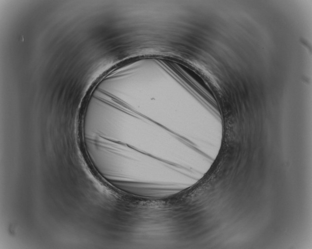 X0000091000991200708301331