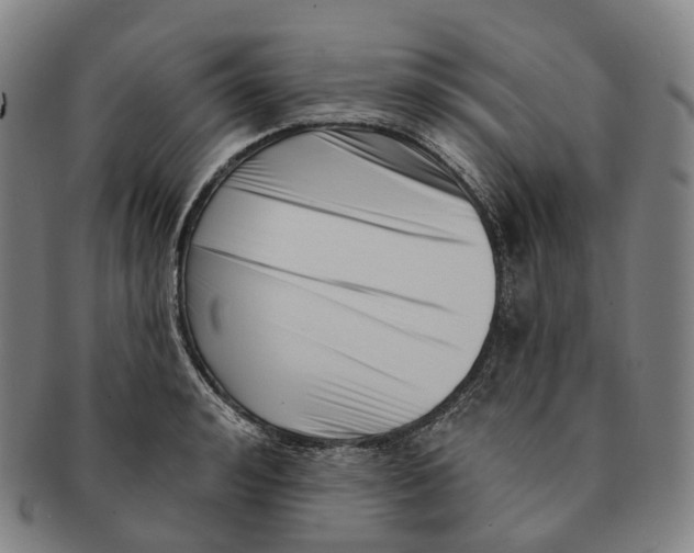X0000091000992200708301331