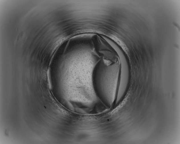X0000091000993200708301331