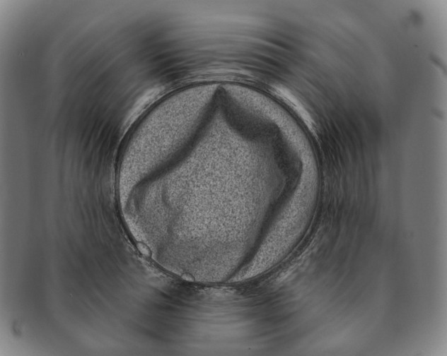 X0000091000994200708301331