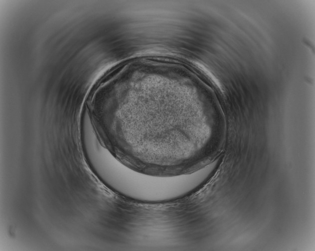 X0000091000996200708301330