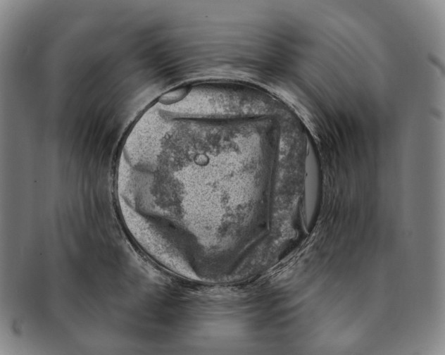 X0000091000998200708301330