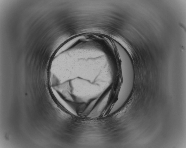 X0000091000999200708301330