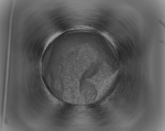 X0000091001003200708301330
