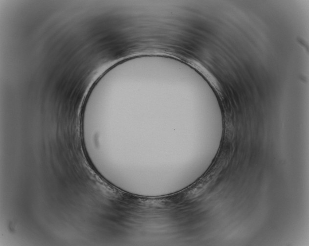 X0000091001004200708301330